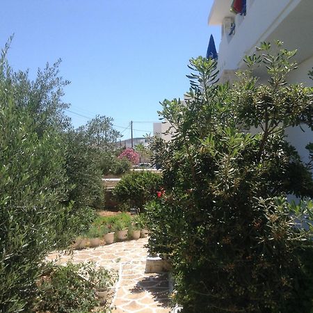 Rania Apartments Antiparos Town Exteriör bild